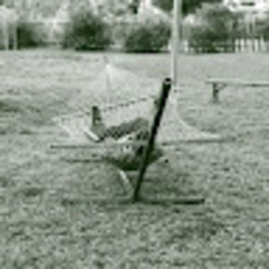 Meet your Posher, Liam